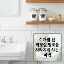 부석마트 | 몇 달간 씨름해도 안 떨어지던 변기 물때, 구연산 하나로 깔끔 해결!