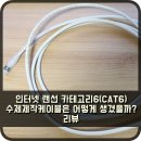 백청기업 | 인터넷 랜선 카테고리6(CAT6) 수제제작케이블은 어떻게 생겼을까? 리뷰