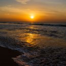 행정사 김문환사무소 이미지