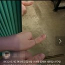 레온짐(LEON GYM) 이미지