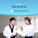 해를담은태권도 이미지