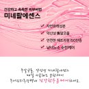 꽃그대 이미지