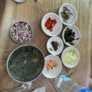 제주 2박 3일 혼자 여행 제주 버스 정보 시스템/짐 옮김이 ‘가방은 여행 중’ (신신호텔 천지연점...