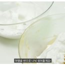 롤데이(Roll day) 네이버블로그