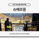 카페슈 | 파주 애견카페 슈베르몽 후기 │ 4000평 부지, 소형견 천국 다녀왔어요