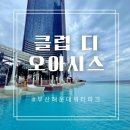 [공지] 낙원천국 해운대 클럽디오아이스 찐 후기 꿀팁대방출