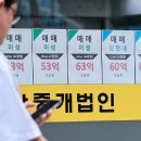 대통령부동산공인중개사사무소 동아일보
