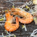 은혜찬방 | 231114 초고화질 방찬보고 스키즈에 취하기 [스트레이 키즈 樂-STAR 팝업]