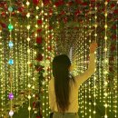 불빛목장 이미지