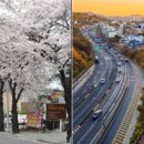 앞산 맛둘레길 경관 이미지