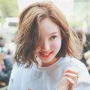 개꿀잼PC 이미지