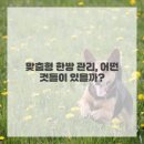 명동한의원 | 끈질긴 여드름, 이제 안녕! 명동한의원 솔직 후기