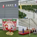 (주)공간에너지 | [고창 딸기체험 필베베팜 후기]딸기도 따고 놀이공간에서 놀고 간식도 먹고 1석3조 체험 즐기기!