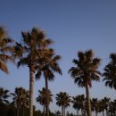 방배로32길 17-11 | 26.02~03 시간을 달려서