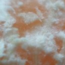 스마트폰 카메라 200 활용 이미지