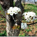 김순남 농장 이미지