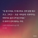 bl 무자각혐성조폭공x조빱적극수 스냇치업 안보면 유죄예요 이미지