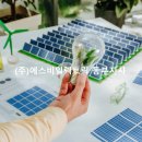 삼백 태양광발전소 이미지