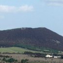 선흘리에 이미지