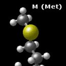 유황함유 아미노산 Sulfur-Containing Amino Acids 이미지