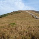 가천세탁소 이미지