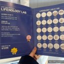 3월 성수팝업스토어 삼성생명 라이프놀로지 랩 전시회 &amp;시세이도 얼티뮨 팝업