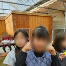 사랑가득 효 태권도 이미지