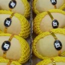 더(The) 담아