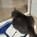 춘천로44번길 이미지