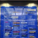 [안양평촌] 문제성 발톱 전문샵 | 내성발톱 교정후기