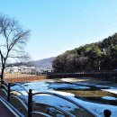 광남생활체육공원 축구장 이미지