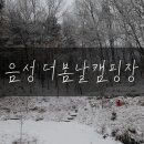 더 봄날 캠핑장 이미지