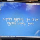 새행복약국 이미지