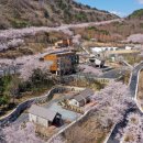 진주 월아산 자연휴양림 이미지