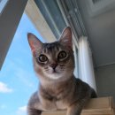 (주)스테이브릿지 이미지