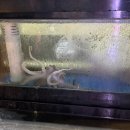 현풍 상리 공영기타2 | [화성/봉담] 화성 봉담2지구 밥집 맛집 낙곱새 추천｜‘오늘도 낙곱새’ 메뉴·가격·주차 정보까지!