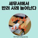 송파세무서 | 세무서에서 비상주 반려되면 어떻게 할까요? (Ft.공간구독은 재승인 도전합니다)