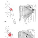 포바즈한의원 이미지