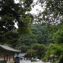 울진물회 이미지