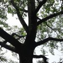 백양산업 이미지