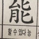 다민 이미지