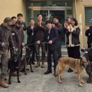 육군 군견훈련소 이미지