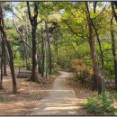 독감과 대상포진백신 접종 그리고 우장산 산행과 예식장 이미지