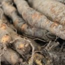 여주-0436 이미지