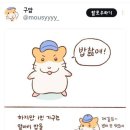 배고픈킹콩등갈비바베큐 | 호주에서 밥찵.여 먹기(인스타레시피 공유)