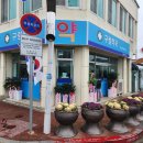 구림면사무소 이미지