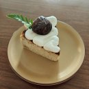 알부스토식물가게 - 서구 새오개로111번안길 32 | 디저트 맛집 카페 브리즈브루어스, 연희자연마당 복수초 산수유, 알부스토식물가게 카랑코에 데려온 봄날~