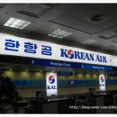 동북아국제여행사 이미지