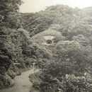 명호관점 이미지