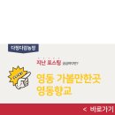 여자만 회 타운 이미지